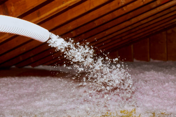Best DIY Insulation Kits and Guidance in Masontown, PA